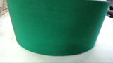 HNI-5PE CONVEYOR BELTTING 2-5/8" W X 14' LONG X .035 THICK , GREEN SMOOTH TOP