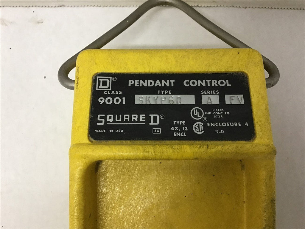 Square D SKYP60 Pendant Control