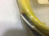 Allen-Bradley 889N-F4AG-6F Series A Cordset 4 Pin Mini Straight 6 FT