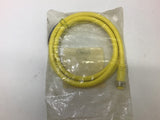 Allen-Bradley 889N-F4AG-6F Series A Cordset 4 Pin Mini Straight 6 FT