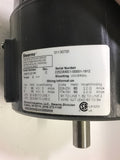 Stearns 105672107PF Brake 115 208-230 Volts Torque 6 LB-FT